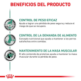 VHN SATIETY DOG LATA - BENEFICIOS